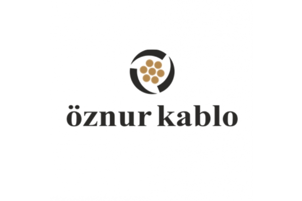 2018 yılında, BKV ENERJİ Taahhüt Elektrik Malz. Paz. ve Tic. Ltd. Şti. unvanını alarak, endüstriyel elektrik alanında odaklanmış bir yapı ile karşınıza çıkı